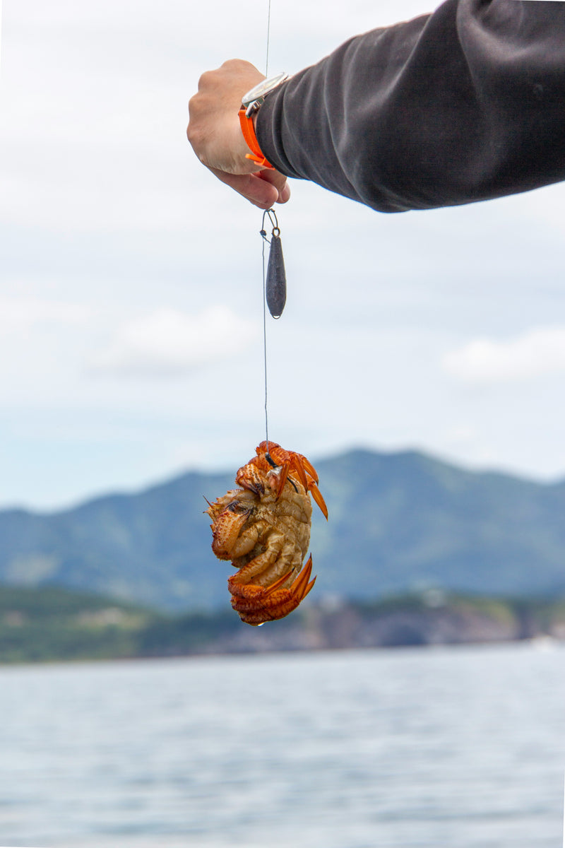 Catch A Crab Tour & Seafood Plate Lunch