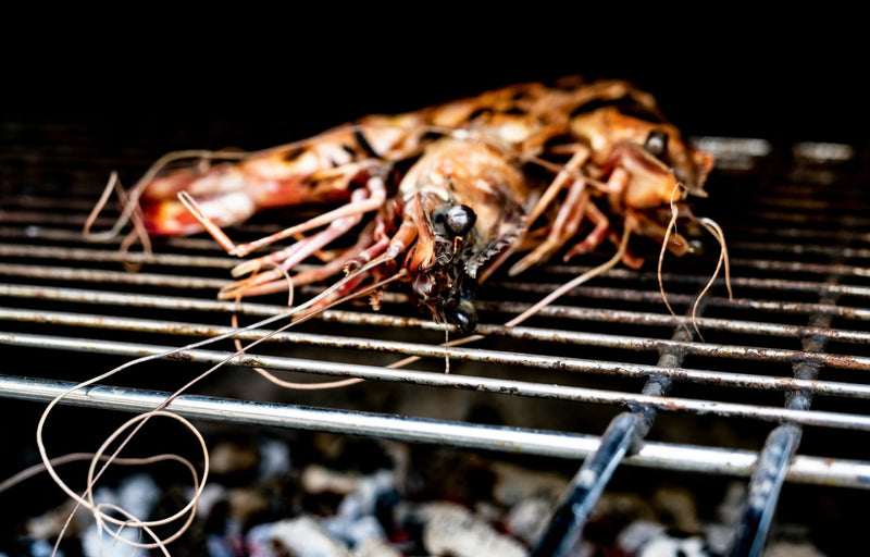 Seafood Barbecue - We Wander