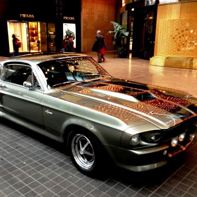 Shelby Mustang Joyride - We Wander