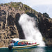 Bruny Island Cruises 3 Hour Cruise With Kettering Bus Pickup