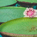 Adelaide Day Photography Course