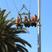Megaclimb & Giant Swing