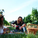 Vineyard Picnic For 4 People At Clairault Streicker