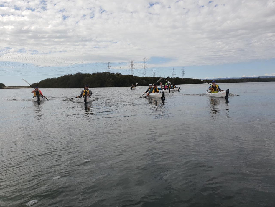 Adelaide Dolphin Sanctuary And Ships Graveyard Tour - We Wander