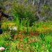 Beach & Forest Eco Adventure - We Wander