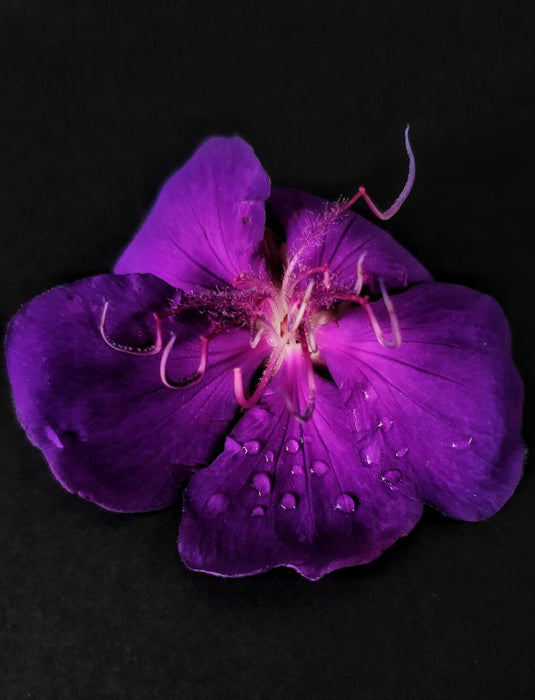 Brisbane Private Photography Workshop - We Wander