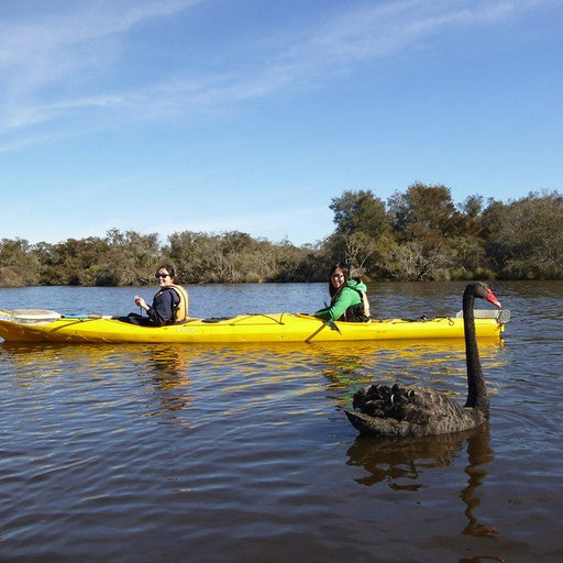 Canning River Half Day Tour - We Wander