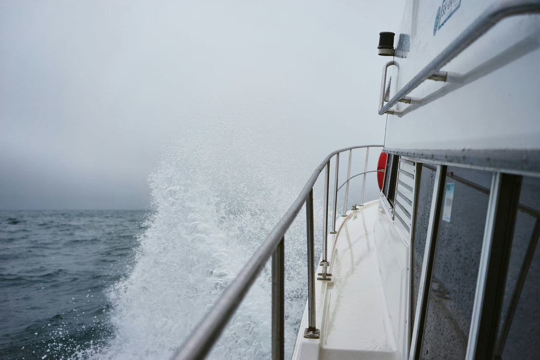 Catch A Crab Tour & Seafood Plate Lunch - We Wander