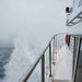 Catch A Crab Tour & Seafood Plate Lunch - We Wander