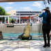 Crocosaurus Cove Entry - We Wander