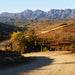 Daybreak Summit Walk - We Wander