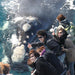 Dunsborough Whale Watching Eco Tours - We Wander