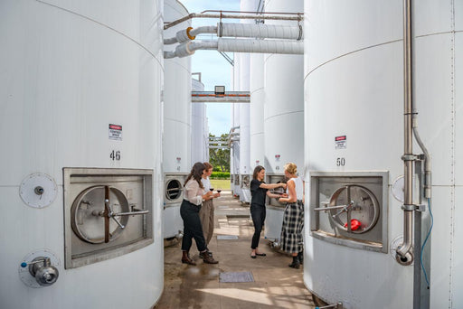 Explore, Wine & Dine In Mclaren Vale - We Wander