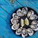 Family Bruny Island Discovery Tour - We Wander