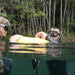 Freediving Level 1 Course - Volcanic Crater Lake - We Wander