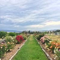 Gin Distillery Tour And Guided Tasting - We Wander