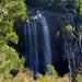 Half Day Out Byron Bay Tour - We Wander
