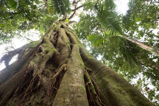 Half Day Out Byron Bay Tour - We Wander