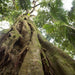 Half Day Out Byron Bay Tour - We Wander