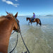Horse Riding Lesson Plus Introductory - We Wander