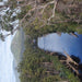 Huon Valley Day Tour - We Wander
