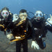 Introductory Dive Sunshine Coast Reefs - Double Dive - We Wander