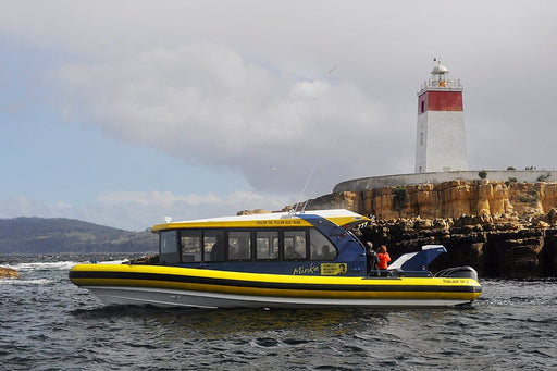 Iron Pot Cruises - We Wander