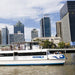 Koala & River Cruise - Return Cruise - Entry Included - We Wander