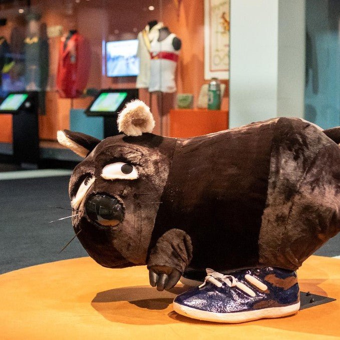 Melbourne Sports Lovers 3/4 Day Tour With Melbourne Cricket Ground And Australian Sports Museum - We Wander