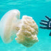 Padi Advanced Open Water Course - We Wander