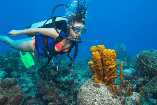 Padi Advanced Open Water Course - We Wander