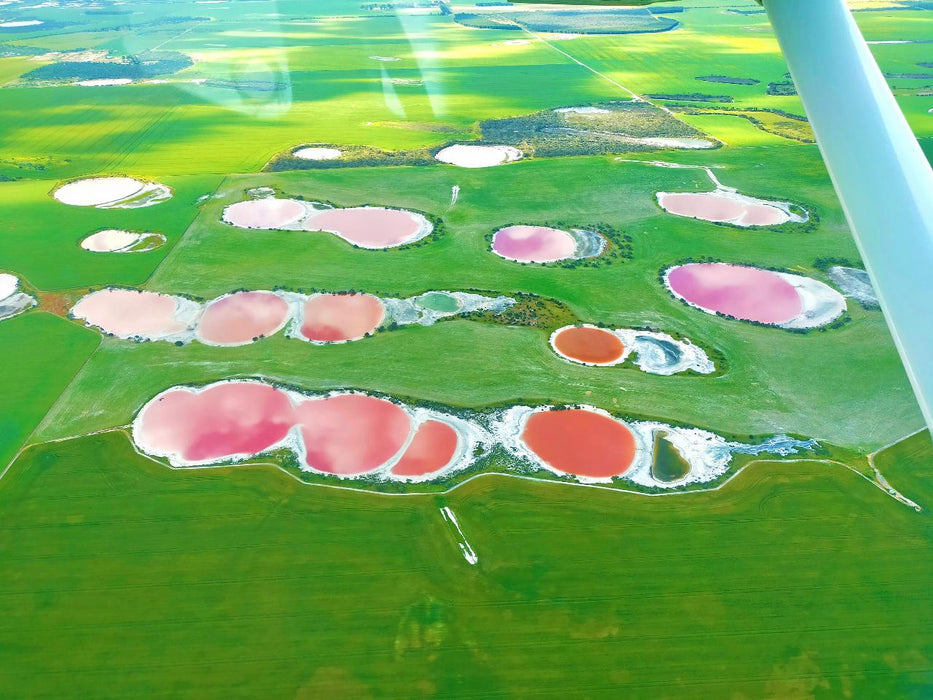 Pink Lakes Fly And Lunch - We Wander