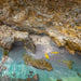 Rapid Bay Sea Kayaking Tour - We Wander