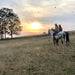 Rise And Shine - Group 75 - Minute Early Morning - We Wander
