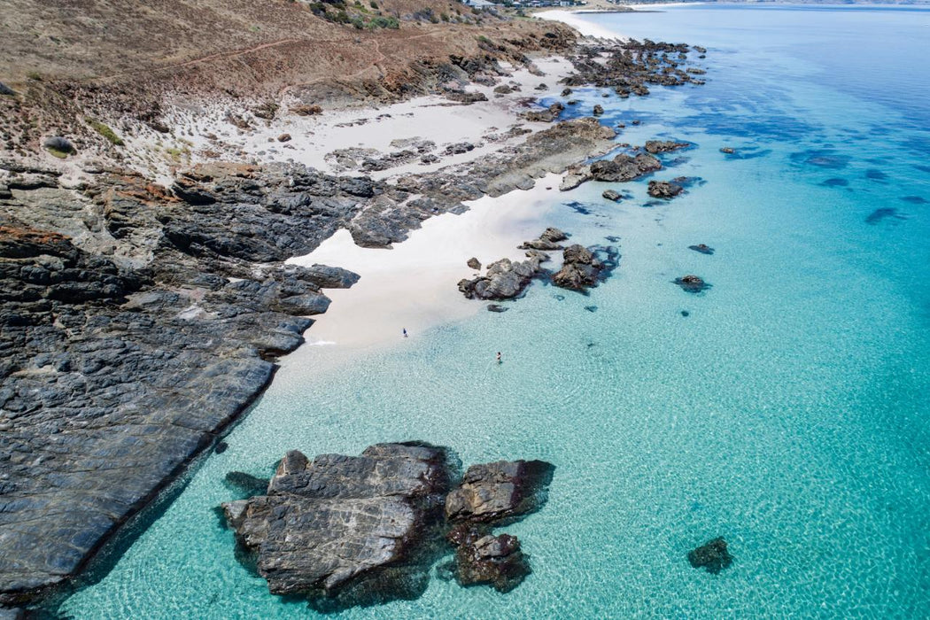 Seal Island Tour - We Wander