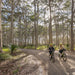 Self Guided E - Bike Tour - Pedal To Produce Series - Narooma To Tilba Valley Winery & Ale House - We Wander