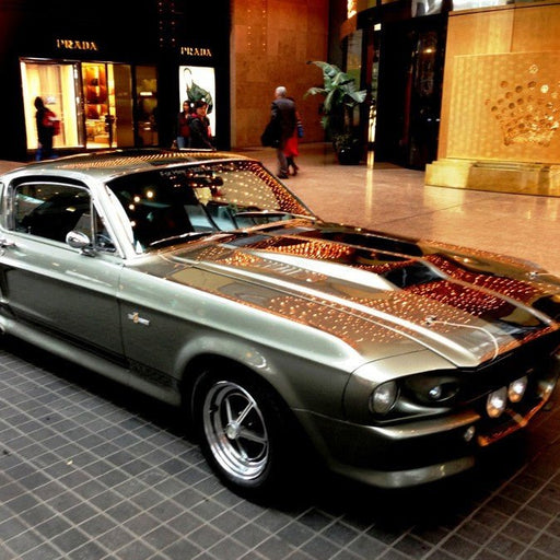 Shelby Mustang Joyride - We Wander