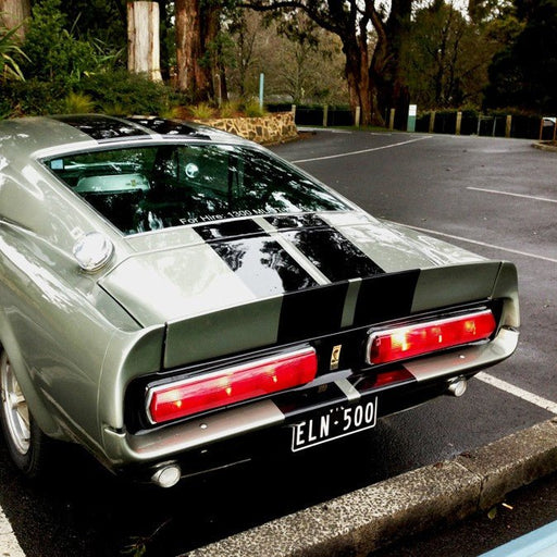 Shelby Mustang Joyride - We Wander
