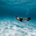 Snorkelling Kit Hire - We Wander
