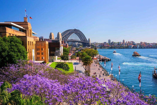 Sydney City Highlights Half Day Morning Private Charter Tour - We Wander