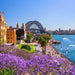 Sydney City Highlights Half Day Morning Private Charter Tour - We Wander