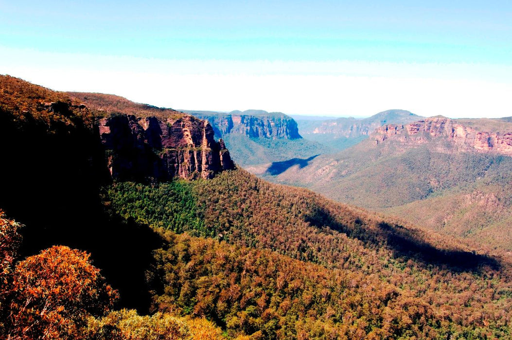 Sydney City Highlights Half Day Morning Private Charter Tour - We Wander