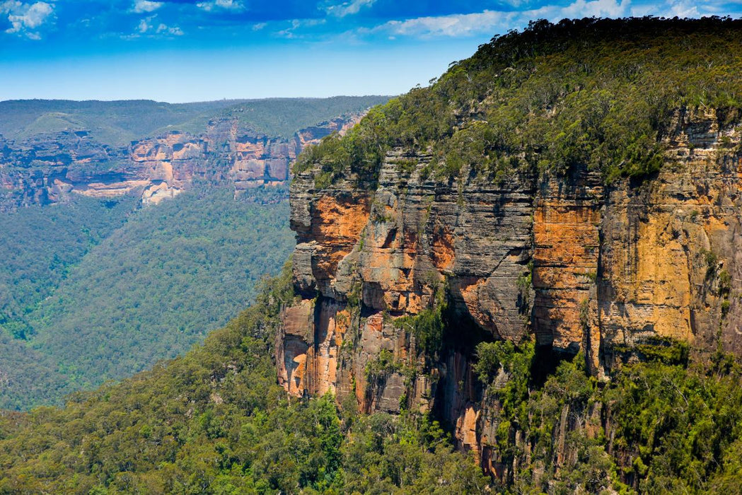Sydney City Highlights Half Day Morning Private Charter Tour - We Wander