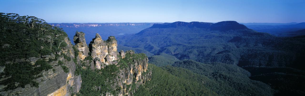 Sydney City Highlights Half Day Morning Private Charter Tour - We Wander