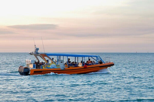 Up The Creek - Darwin Harbour Cruise - We Wander