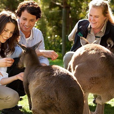 Werribee Open Range Zoo General Entry - We Wander