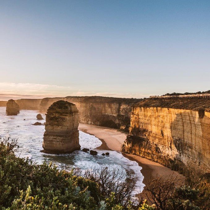 Wildlife Tours Australia: 1 Day Great Ocean Road + Rainforest Walk Tour - We Wander