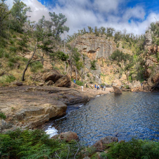 Wildlife Tours Australia: 1 Day Hunter Valley Winery Tour - Sydney - We Wander