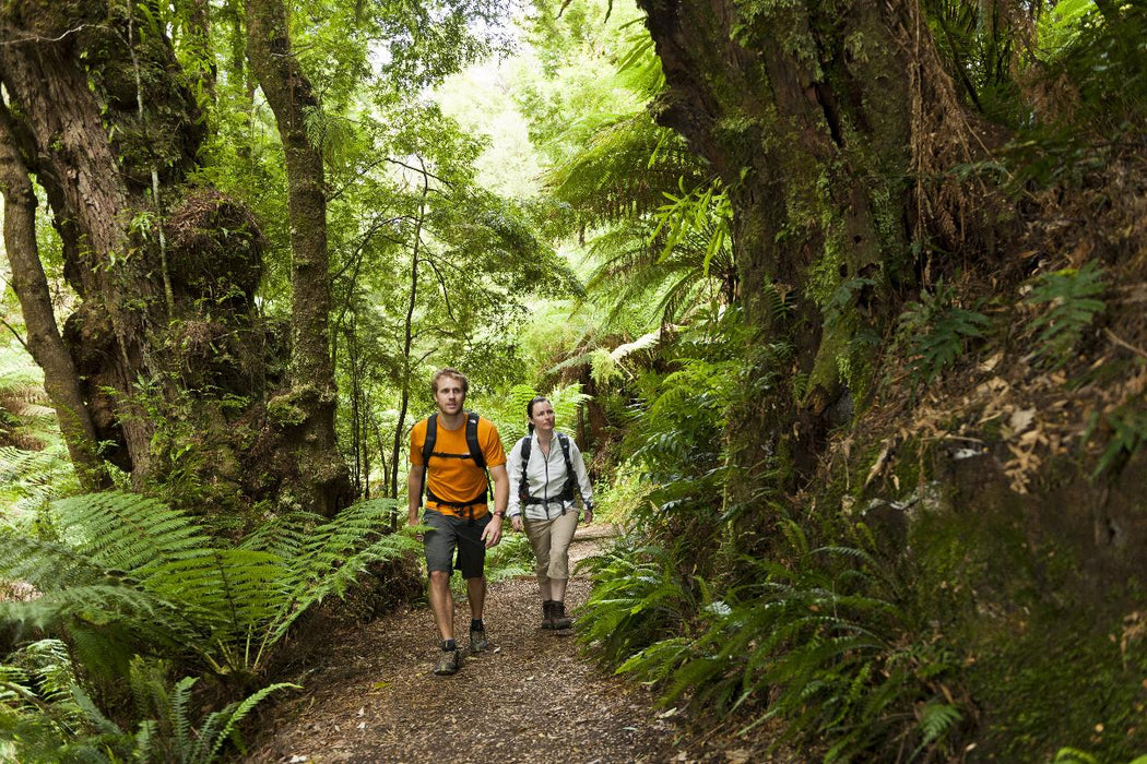 Wildlife Tours Australia: 3 Day Melbourne To Adelaide Tour - We Wander