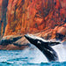 Wineglass Bay Cruises - Vista Lounge With Ploughmans Lunch - We Wander